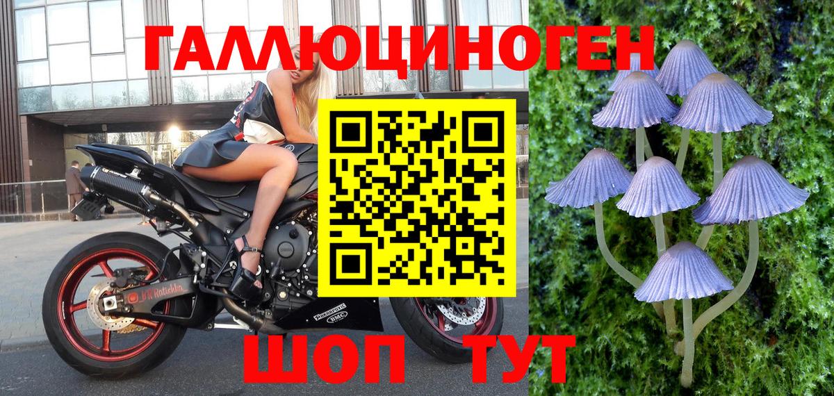Галлюциногенные грибы Cubensis  Вход с VPN  Луховицы 
